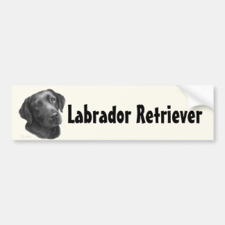 Black/Chocolate Labrador Retriever Bumper Sticker