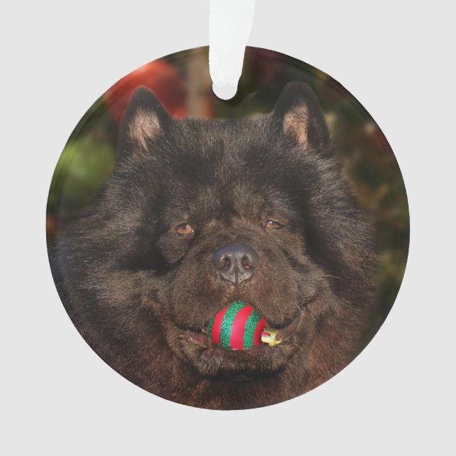 Black chow dog Christmas Ornament (Front)