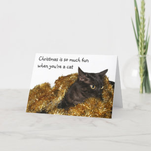 Black Christmas cat Holiday Card