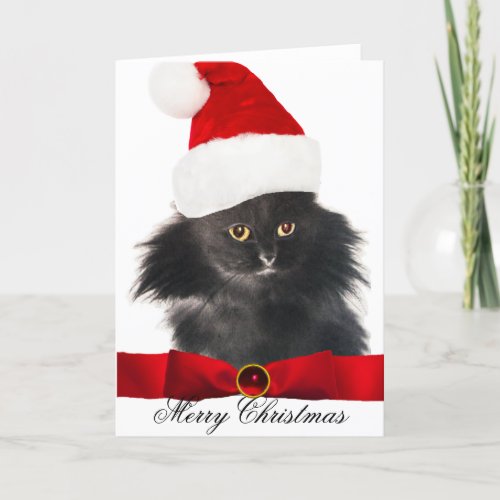 BLACK CHRISTMAS CAT WITH SANTA CLAUS HAT HOLIDAY CARD