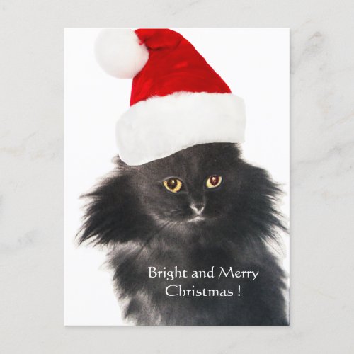 BLACK CHRISTMAS CAT WITH SANTA CLAUS HAT HOLIDAY POSTCARD