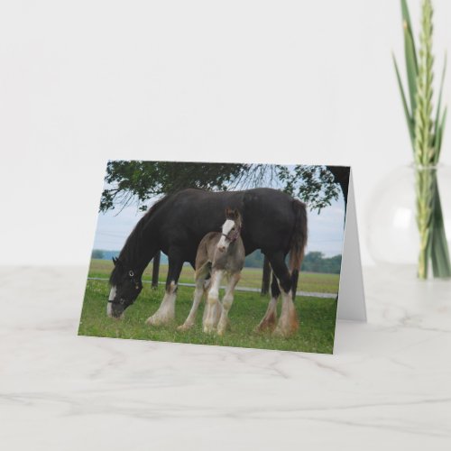 Black Clydesdale and Filly Card