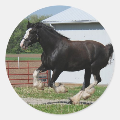 Black Clydesdale Classic Round Sticker