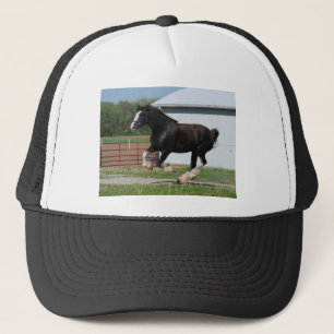 Black Clydesdale Trucker Hat