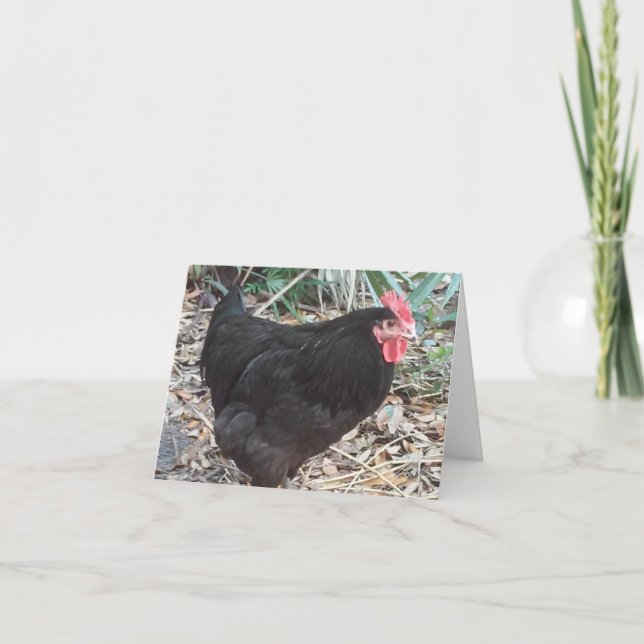 Black Cochin Chicken Photo Folded Note Card (Front)