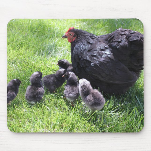 Black Cochin Chicken with Chicks Mousepad (Front)