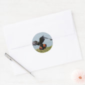 Black Cockatoo in for landing Classic Round Sticker (Envelope)