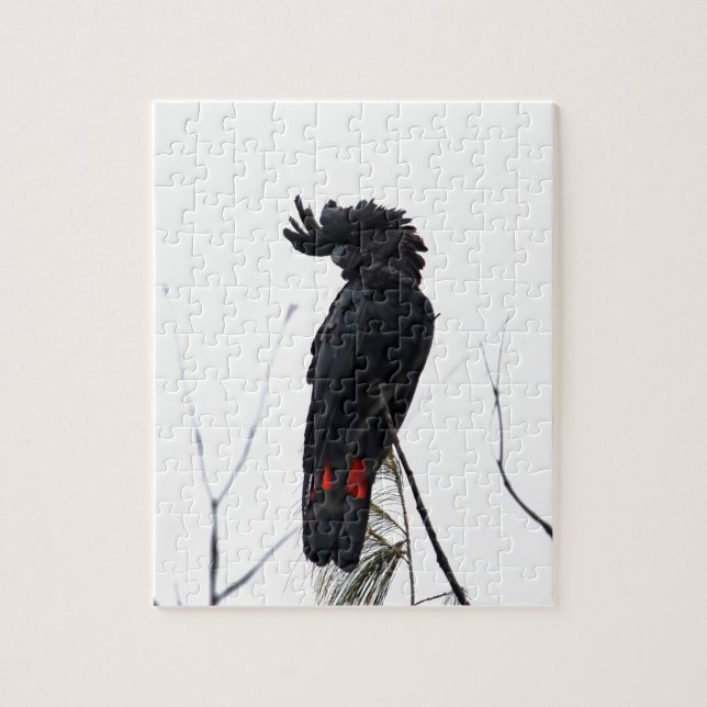 BLACK COCKATOO QUEENSLAND AUSTRALIA JIGSAW PUZZLE (Vertical)