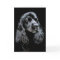 Black Cocker Spaniel