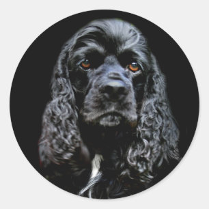 Black Cocker Spaniel Classic Round Sticker