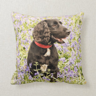 black cocker spaniel cushion