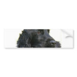 Black Cocker Spaniel Dog Bumper Sticker