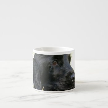Black Cocker Spaniel Dog Specialty Mug by DogPoundGifts at Zazzle