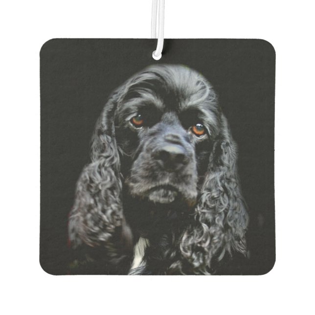 Black cocker spaniel face air freshener (Back)