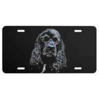 Black cocker spaniel face