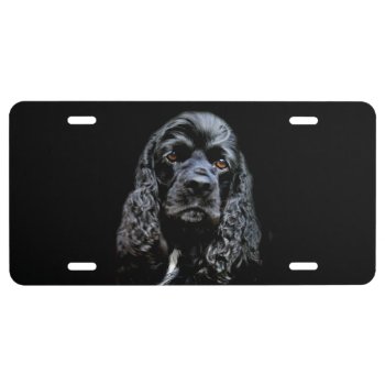 Black Cocker Spaniel Face License Plate by deemac1 at Zazzle