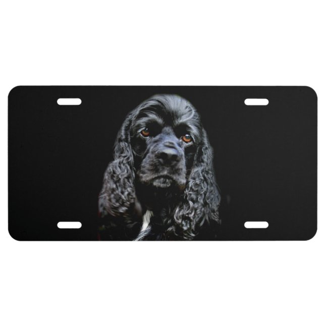 Black cocker spaniel face license plate (Front)