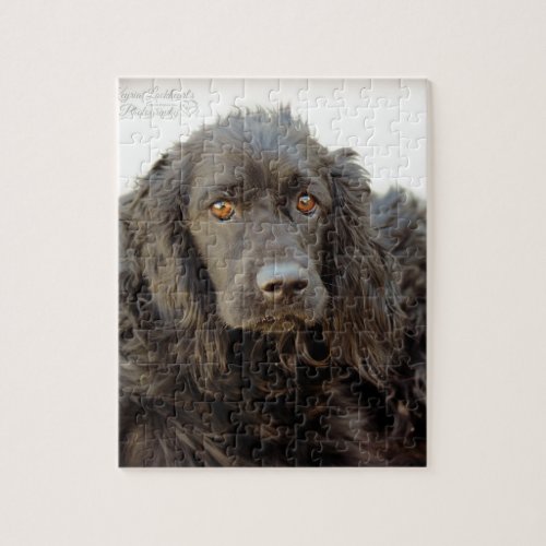 Black Cocker Spaniel  Harley Jigsaw Puzzle