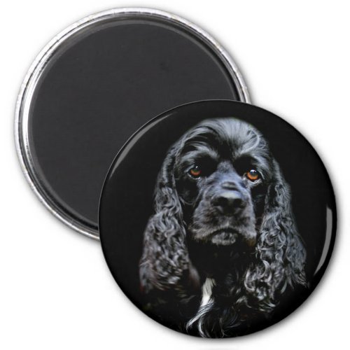 Black Cocker Spaniel Magnet