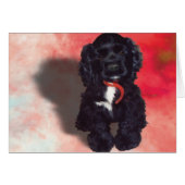 Black Cocker Spaniel Puppy - Abby (Front Horizontal)