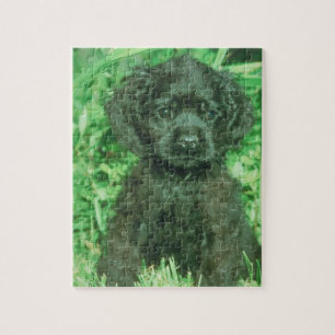 Black Cocker Spaniel Puppy Dog Puzzle