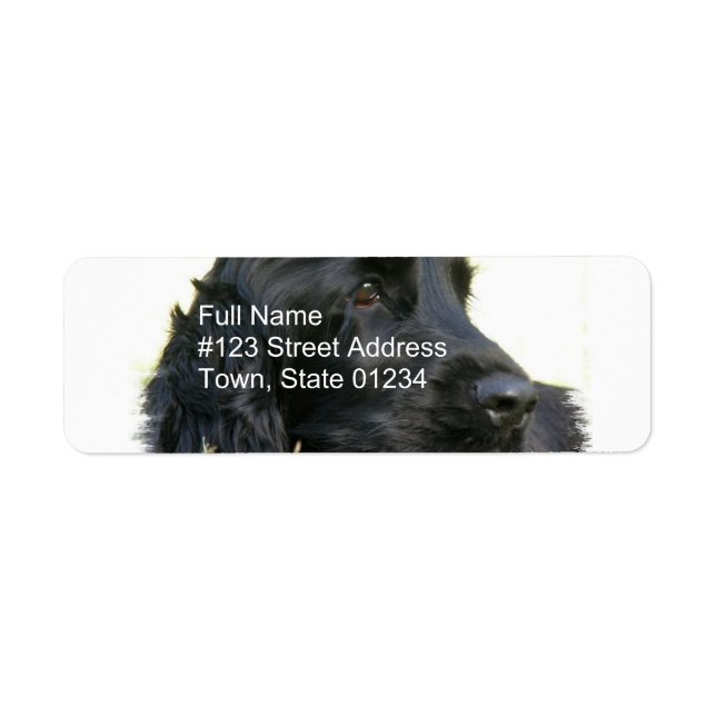 Black Cocker Spaniel Return Address Label (Front)