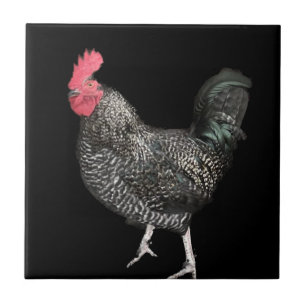 Black Cockerel No 4 Ceramic Tile
