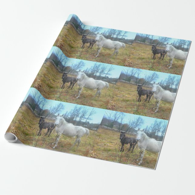 Black Colt White Horse Wrapping Paper (Unrolled)
