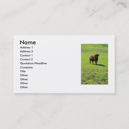 Customizable Black Cow Business Card