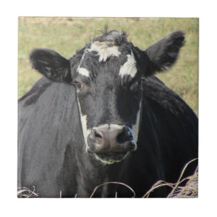 Black Cow Ceramic Tile