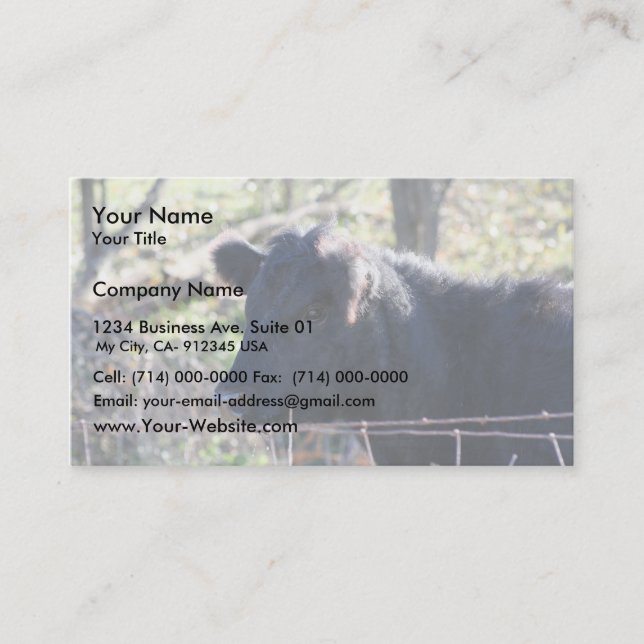Black Cow Looking Out Of Fence Business Card (Front)