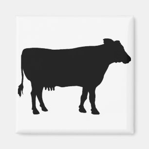 Black Cow Magnet