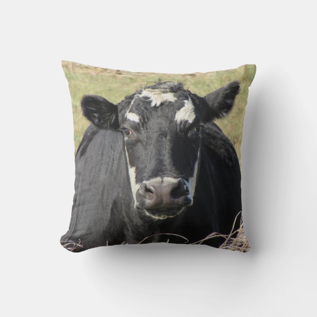 Black Cow Throw Pillow (Front)