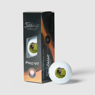 Black Cow With White Face And Mohawk, Golf Balls