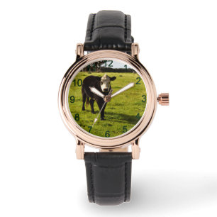 Black Cow With White Face And Mohawk, Watch