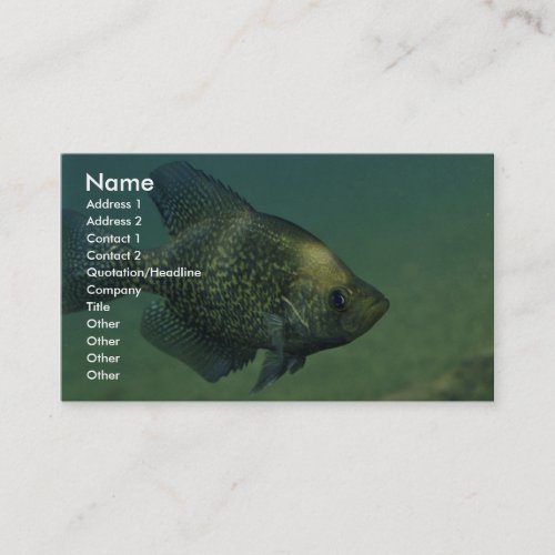 Black crappie business card