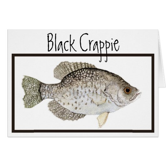 Black Crappie card (Front Horizontal)