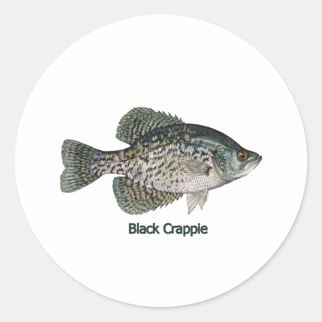 Black Crappie (titled) Classic Round Sticker (Front)