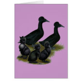 Black Crested Duck Family (Front)