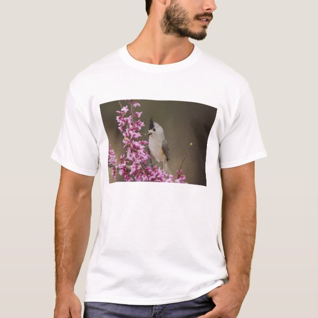 Black-crested Titmouse, Baeolophus T-Shirt (Front)