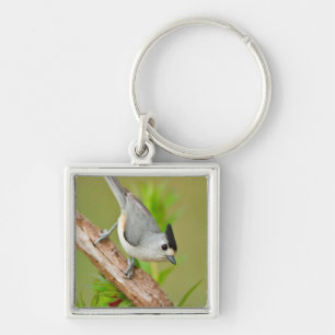 Black-Crested Titmouse Keychain