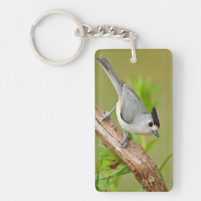 Black-Crested Titmouse Keychain (Front)