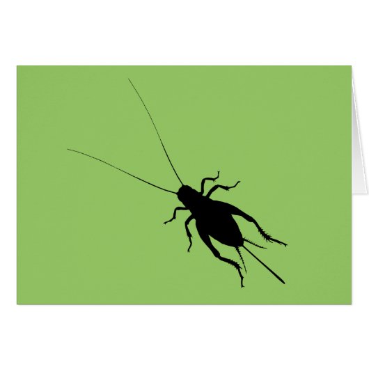 Black Cricket Cards (Front Horizontal)