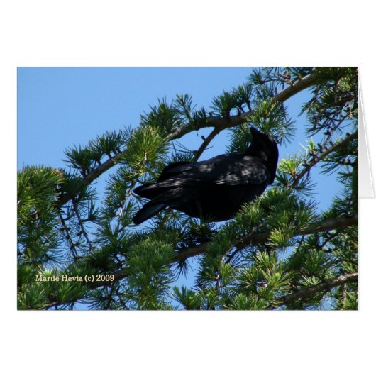 Black Crow (1a) - Customizable Cards (Front Horizontal)