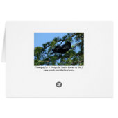 Black Crow (1a) - Customizable Cards (Back Horizontal)