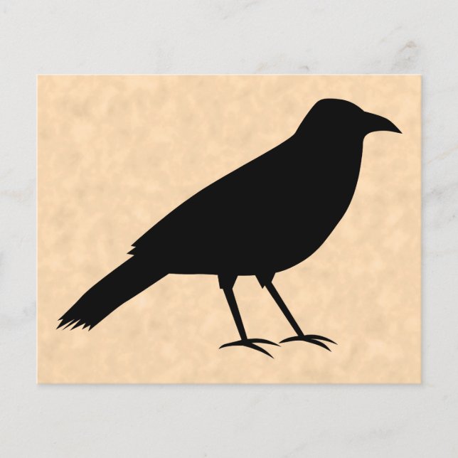Black Crow Bird on a Parchment Pattern. Flyer (Front)