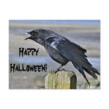 Black crow halloween postcard