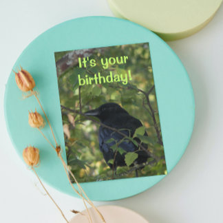 Black Crow in Tree Funny Nature Birthday Card