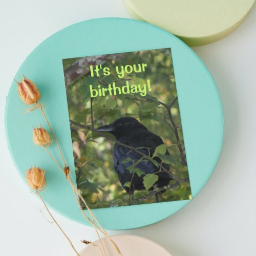 Black Crow in Tree Funny Nature Birthday Card