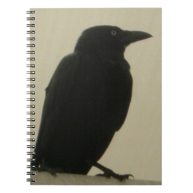 Black Crow Notebook (Front)